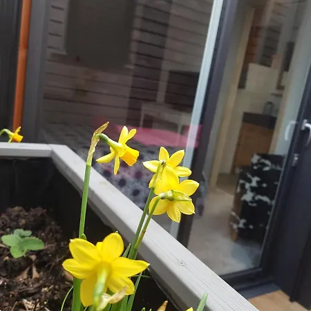 Angers Green Lodge Angers