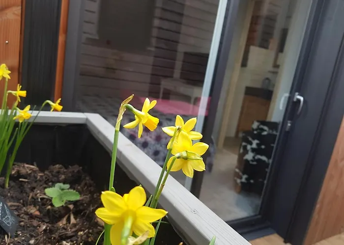 Angers Green Lodge 昂热